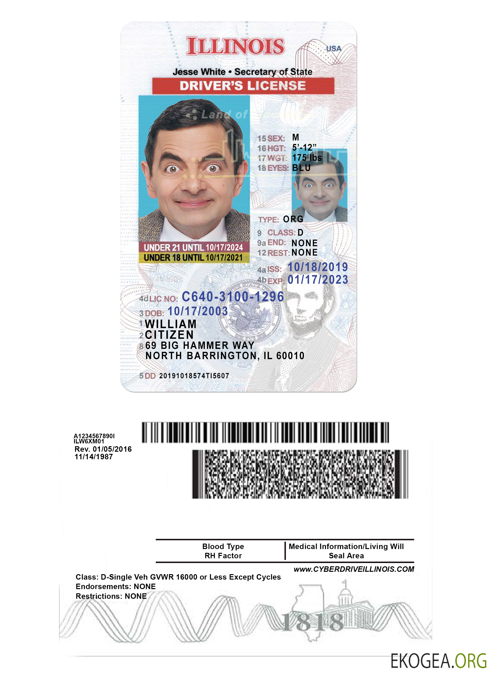 USA Illinois driving license under 21